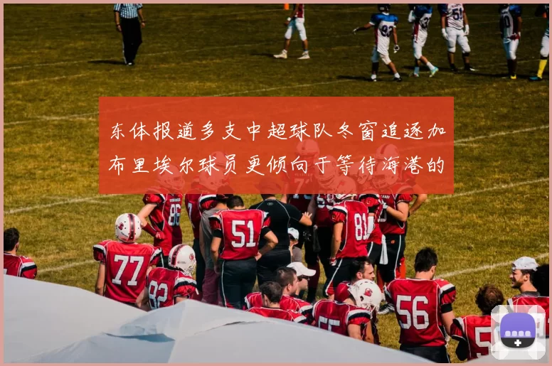 东体报道多支中超球队冬窗追逐加布里埃尔球员更倾向于等待海港的机会
